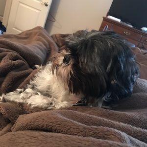 Meet your Posher, Kylie